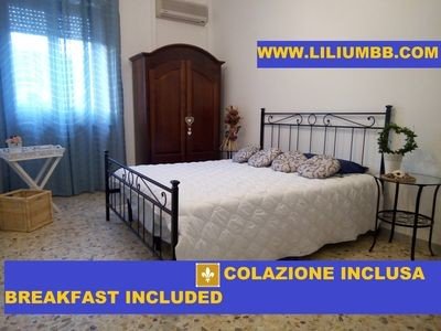 Bed and breakfast 1 camera, con aria condizionata
