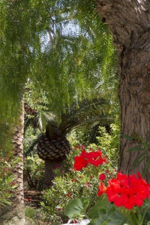 Ferienhaus 2 Schlafzimmer, mit Garten