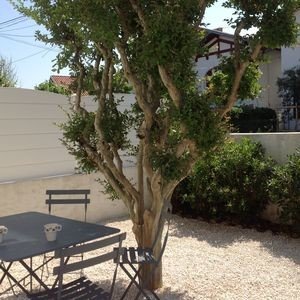 Maison 2 chambres, avec jardin