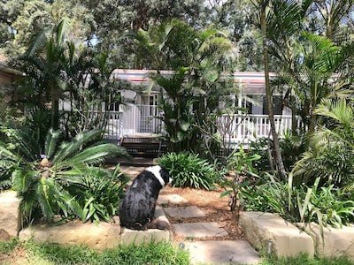 House 3 bedrooms, with garden