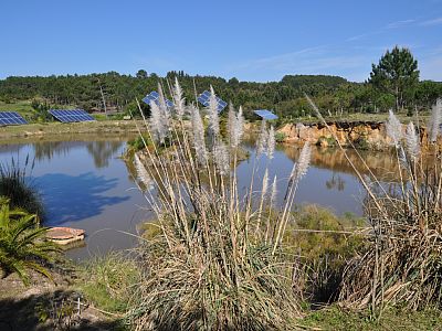 Ferienhaus 3 Schlafzimmer, mit Garten