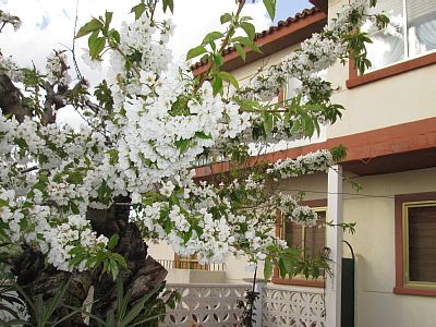 Casa 4 habitaciones, con gimnasio