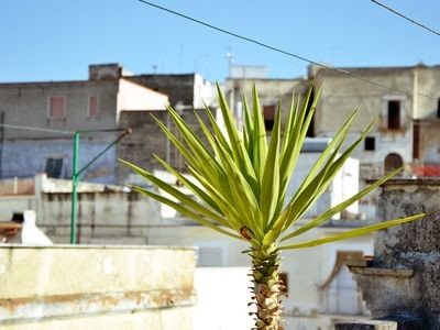 Casa 3 camere, con giardino