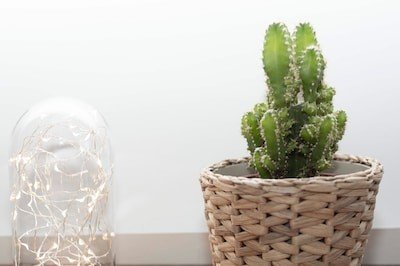 Wohnung 1 Schlafzimmer, mit Fitnessstudio