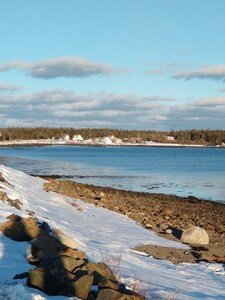 Apartment 1 bedroom, with garden