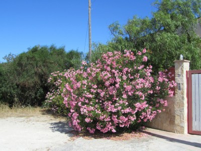 Ferienhaus 3 Schlafzimmer, mit Garten