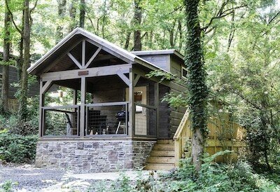 Apartment 1 bedroom, with jacuzzi