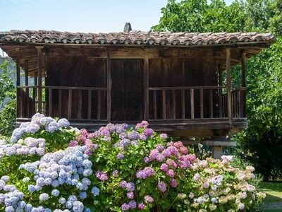 Casa 6 habitaciones, con gimnasio