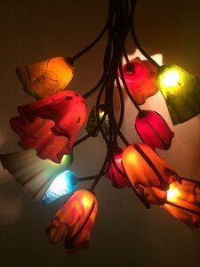 Casa 2 habitaciones, con piscina