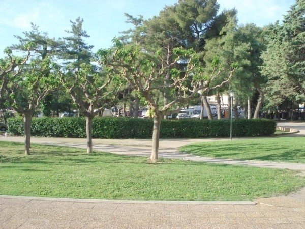Studio authentique, 2 voyageurs, avec jardin