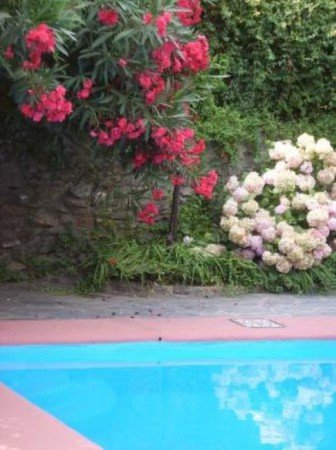 Casa 3 habitaciones, con piscina