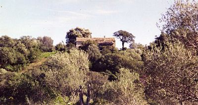 Bed and breakfast 1 camera, con palestra
