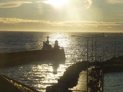 Apartment 1 bedroom, with garden