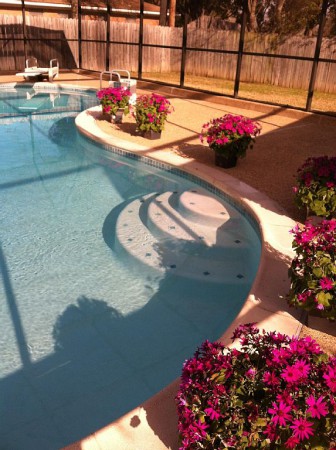 House 3 bedrooms, with pool