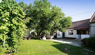 Wohnung 1 Schlafzimmer, mit Garten