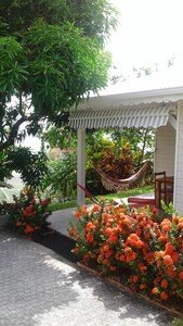 Maison 1 chambre, avec jardin