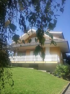 Appartamento 1 camera, con giardino