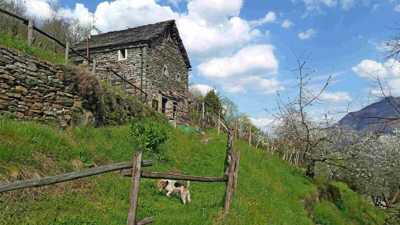 Maison Agriturismo, 1 chambre, avec jardin