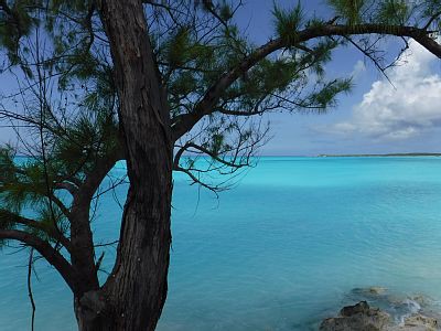 Casa 2 camere, con piscina