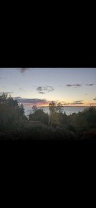 Apartment 1 bedroom, with garden