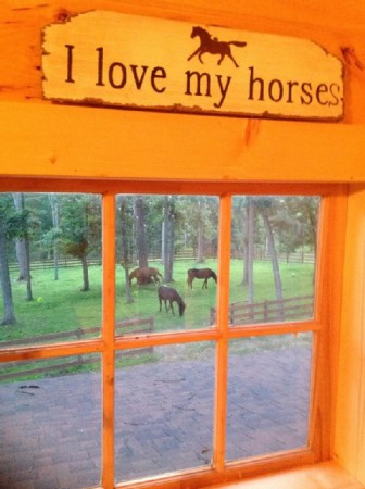 Apartment 1 bedroom, with garden