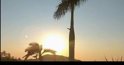 Casa 4 quartos, com piscina