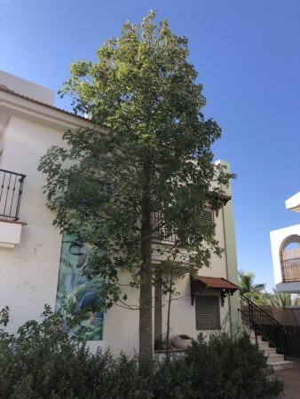 Wohnung 2 Schlafzimmer, mit Fitnessstudio