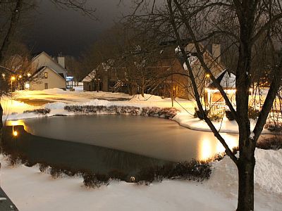 Apartment 1 bedroom, with garden