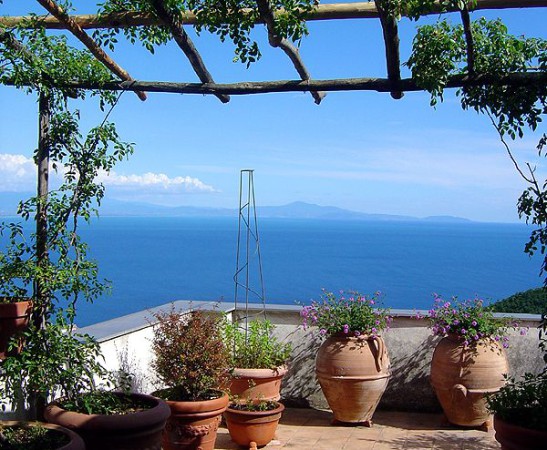 Appartamento 2 camere, con giardino