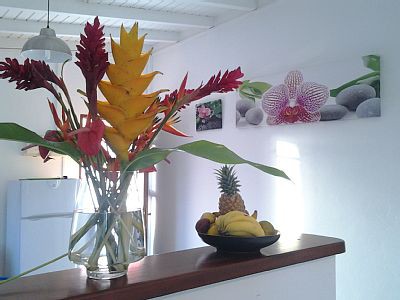 Maison 2 chambres, avec jardin