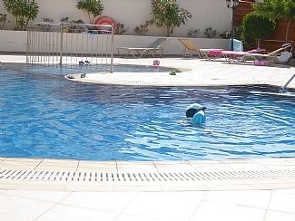 Wohnung 1 Schlafzimmer, mit Pool