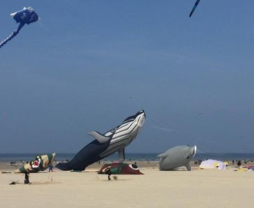 Wohnung 1 Schlafzimmer, mit Garten