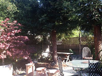 House 2 bedrooms, with garden