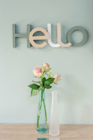 Maison de ville de charme, 2 chambres, avec jardin