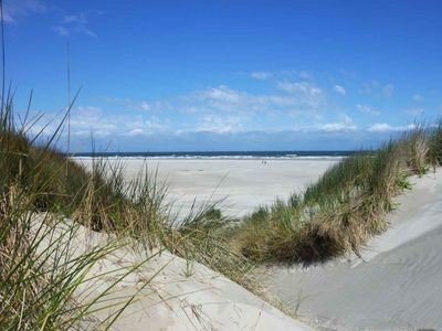 Appartement 1 chambre, avec salle de sport