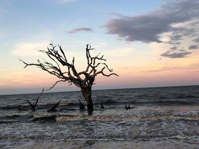 House 4 bedrooms, with garden