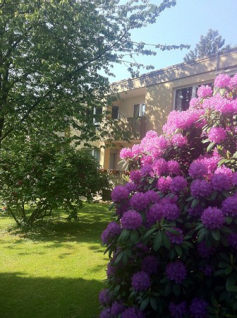 Wohnung 2 Gäste, mit Fitnessstudio