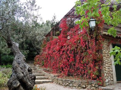 Ferienhaus 3 Schlafzimmer, mit Pool