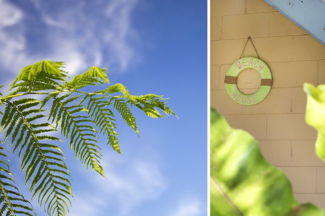 House 3 bedrooms, with jacuzzi