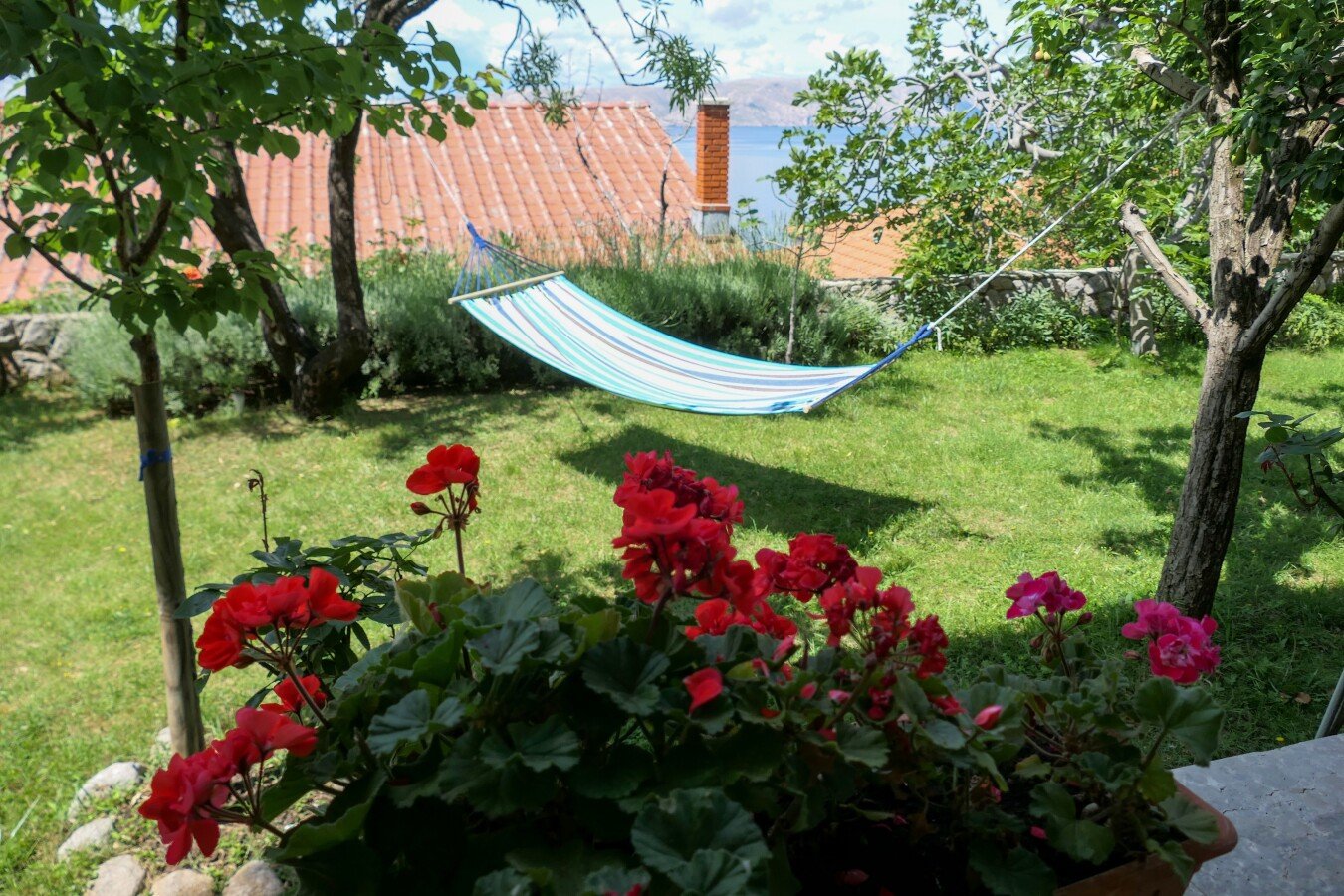 Apartment 1 bedroom, with sea view