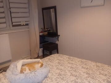 Chambre 1 voyageur, avec wifi