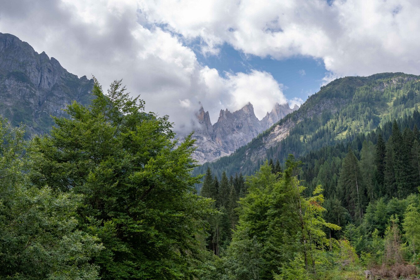 Appartamento 1 camera, con parcheggio