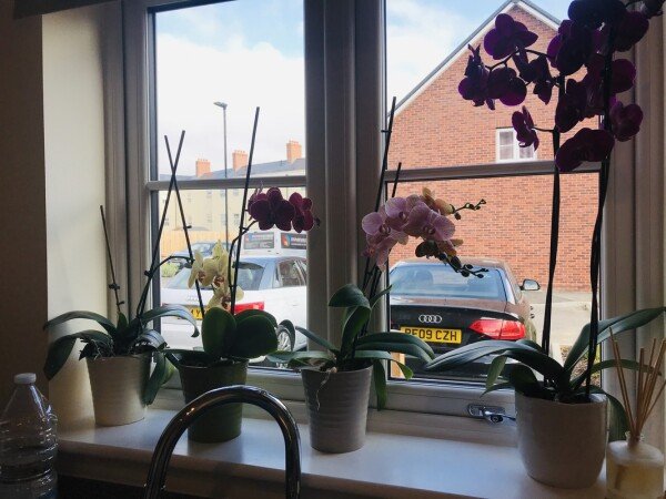 House 2 bedrooms, with garden