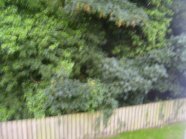 House 2 bedrooms, with garden