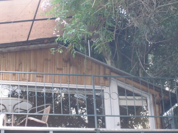 Room 3 guests, with garden