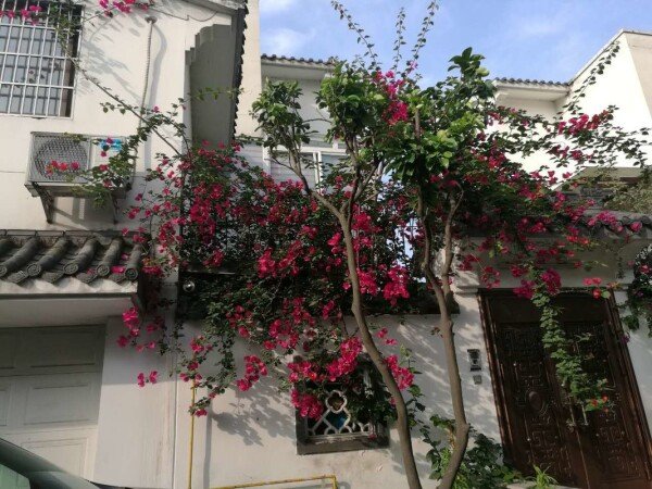 Room 4 guests, with garden