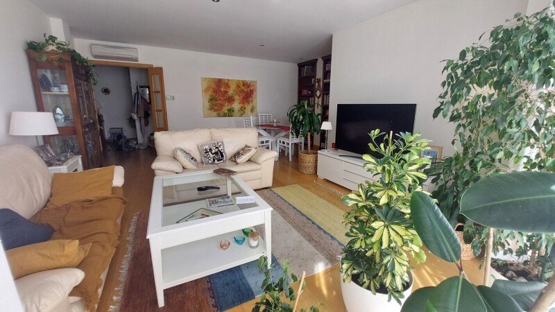 Habitación 1 huésped, con piscina