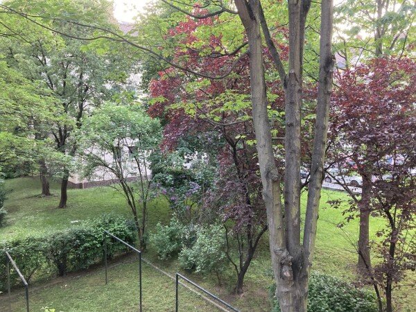 Room 3 guests, with garden