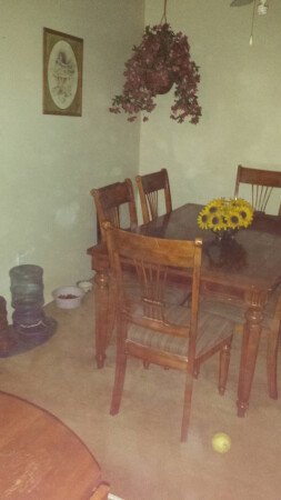 Room 1 guest, with wifi