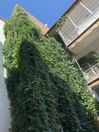 Room 2 guests, with wifi